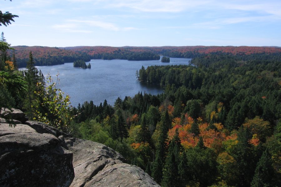 Algonquin_Cache_Lake_Lookout Algonquin_Cache_Lake_Lookout