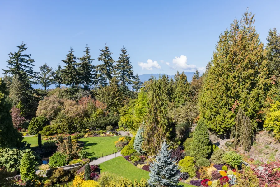 Queen Elizabeth Park_Destination Vancouver-Nelson Mouellic_85611_PowerPoint 2000px.jpg Queen Elizabeth Park_Destination Vancouver-Nelson Mouellic_85611_PowerPoint 2000px.jpg